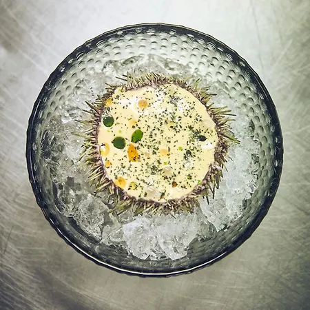 Penthouse Torskensenteret * Torsken